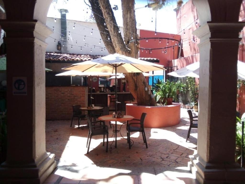 Hotel Ana Catalina And Suites San Miguel de Allende Dış mekan fotoğraf