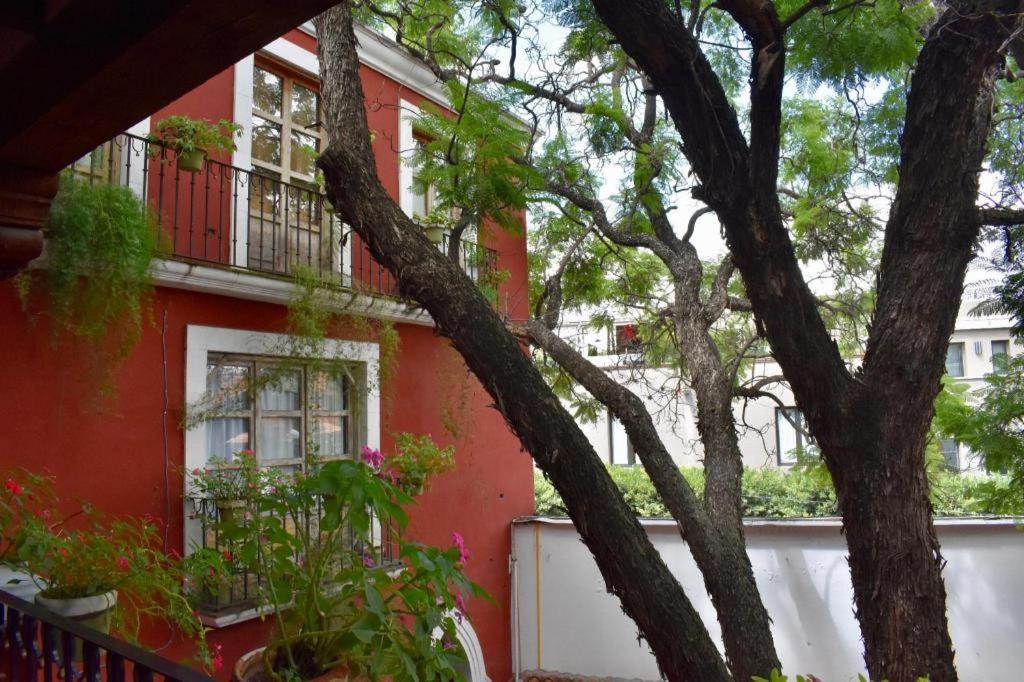 Hotel Ana Catalina And Suites San Miguel de Allende Dış mekan fotoğraf